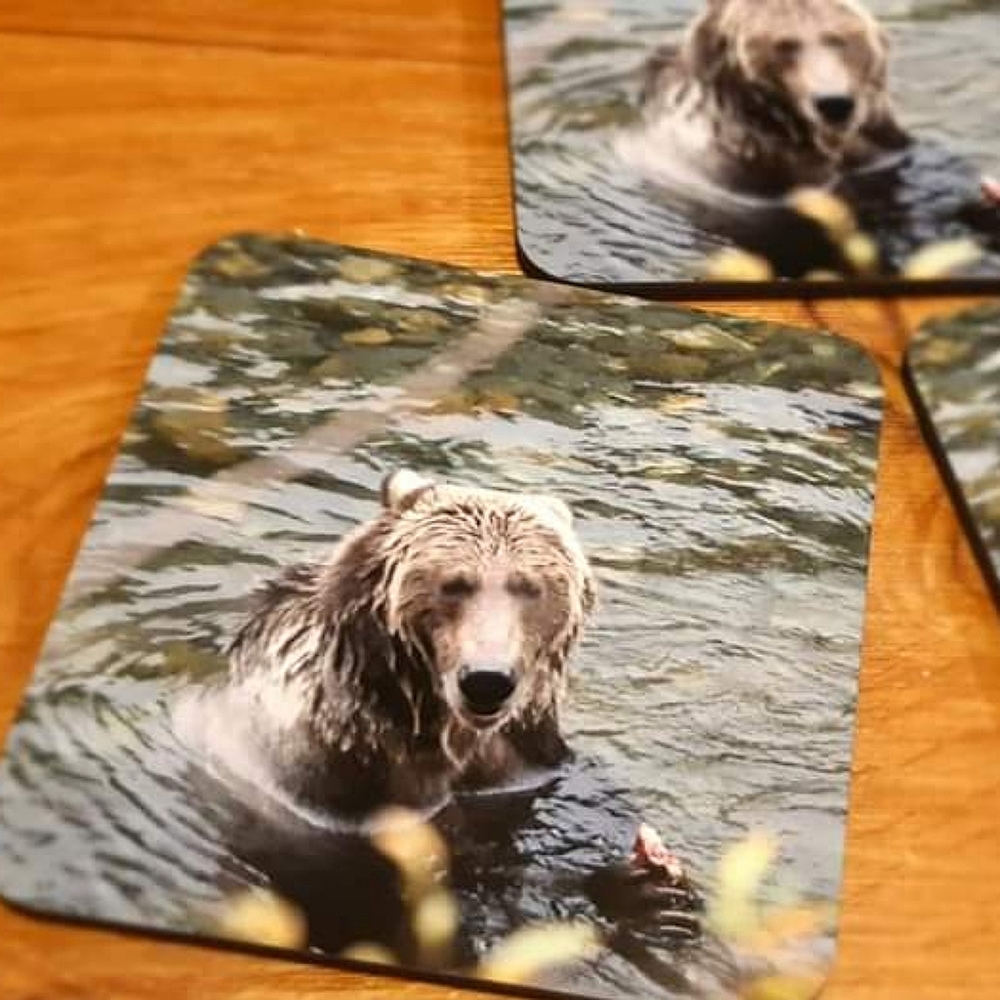 Landscape and bear closeup Coasters